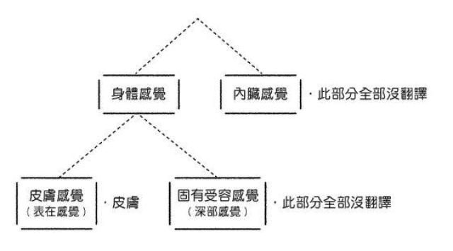 相較於其他五感,觸覺有幾項獨有的特徵,其中之一是獲得感覺的部位不像