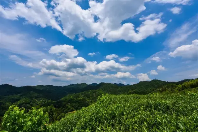 冬天猶如一位成熟穩重的老人,拋卻了春的輕佻,失去了夏的飽滿,歷經