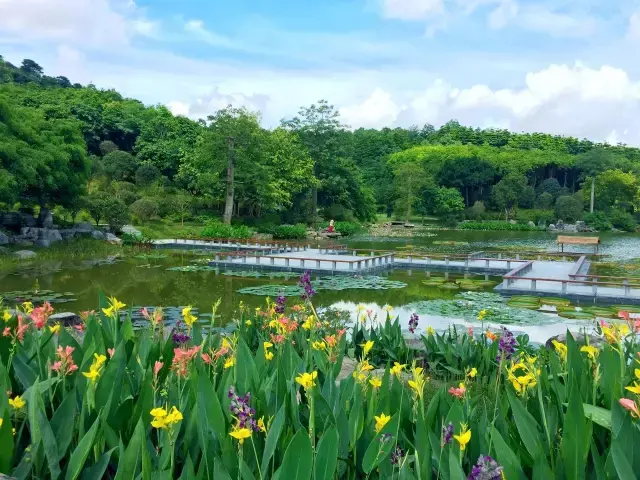 图片来源:周军 潘浩 桂花园有山有水,有鲜花有绿植,还有可爱的小鸬鹚