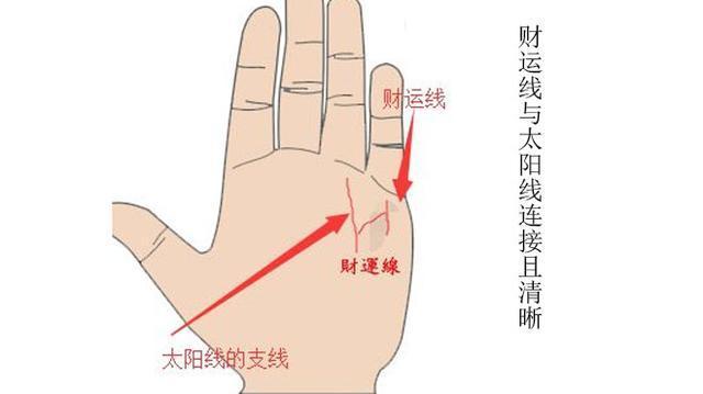 3, 运线与太阳线连接且清晰 财运线与太阳线的支线连接的人偏财运一直