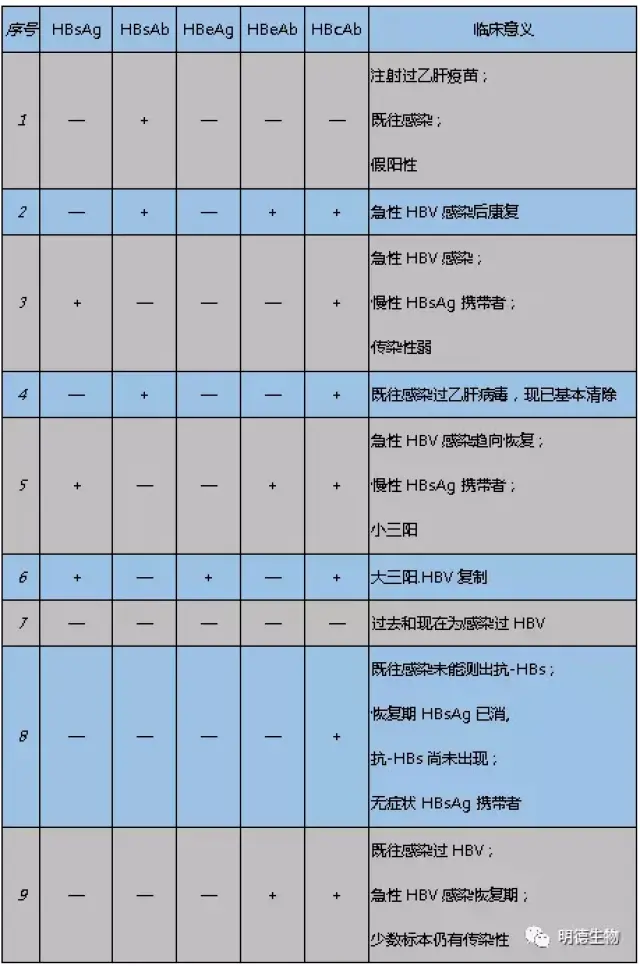 三種抗原在人體內可引起機體免疫反應,產生相應的三種抗體,即:抗-hbs