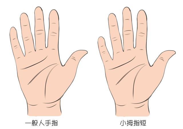 手相风水:看这两根手指就能知道这么多
