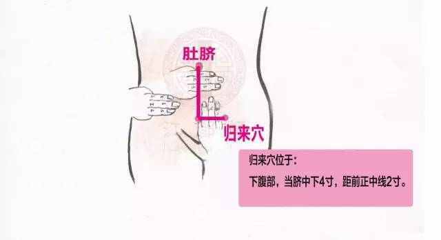 子宫艾灸的位置图图片