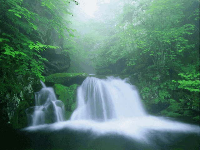 600_450gif 动态图 动图