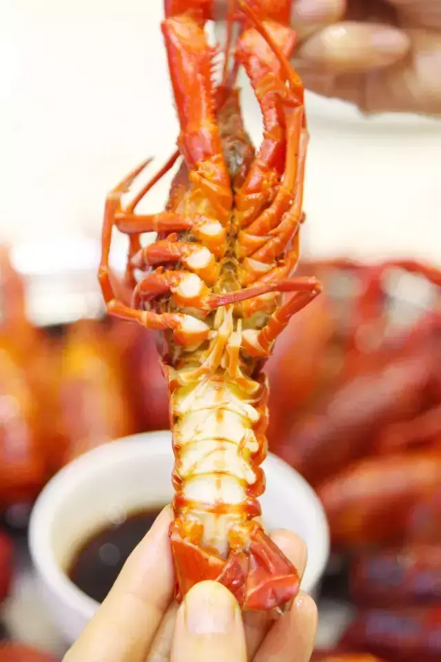 这个湖北佬在宝安发动小龙虾大战,要搞半个月!