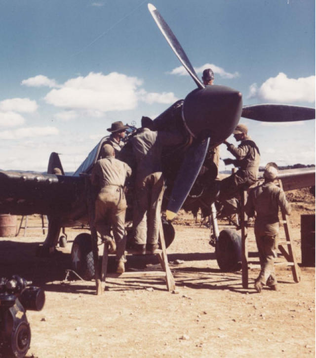 图说二战时期美国航空队