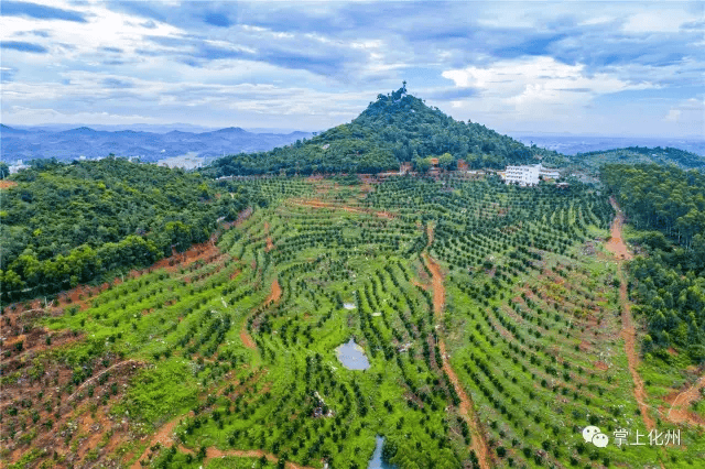 化州尖岗岭,化州中垌镇,化州平定镇_大山谷图库