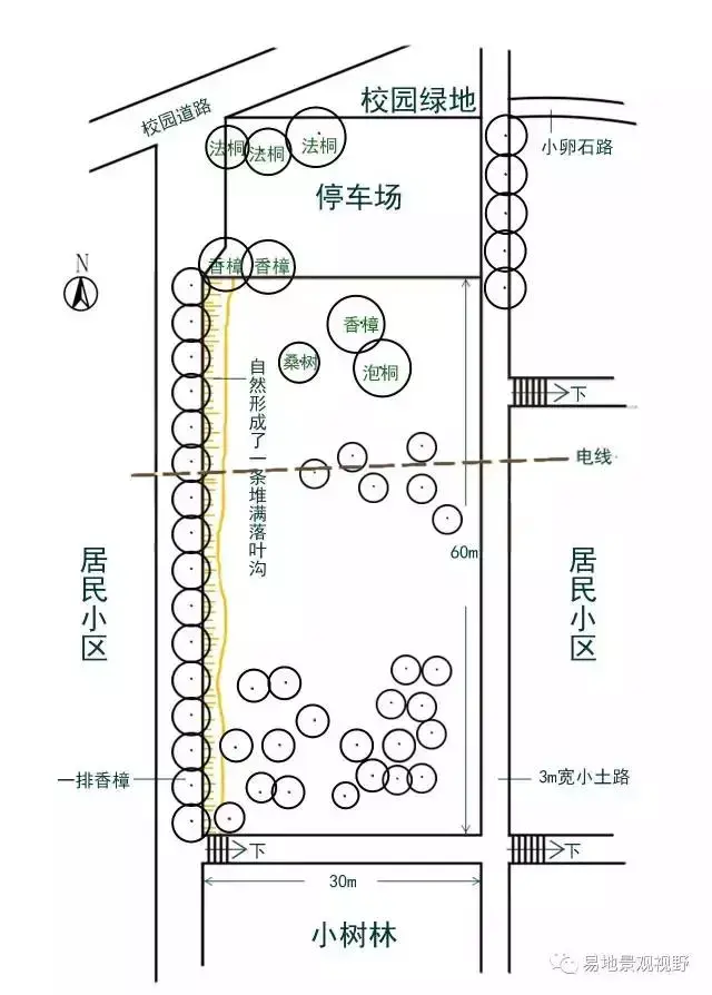 聊设计——菜地变园林