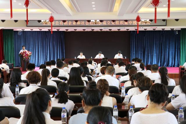 梅河口市举行非公企业和社会组织新成立党组织