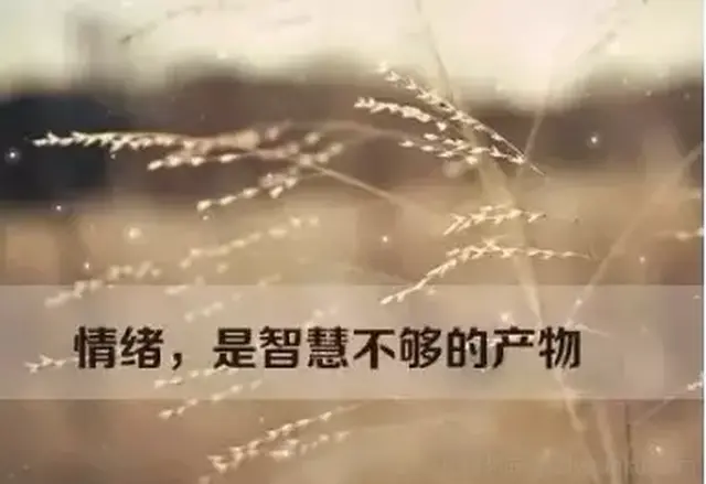 嗔恨图片,晚安图片,动漫图片(第2页)_大山谷图库
