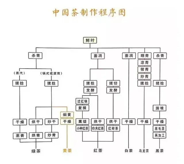 通过这张图,我们可以清晰地看到各大茶类的制作工艺流程及区别,下面