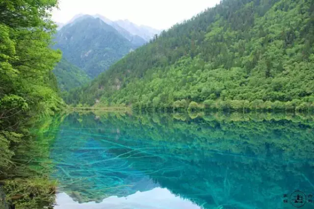 五花海 位居世界十大最美湖泊的榜首 在陽光下幻化出美得令人窒息的