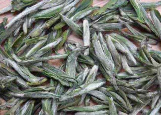 12.敬亭绿雪(安徽省宣城市北敬亭山)