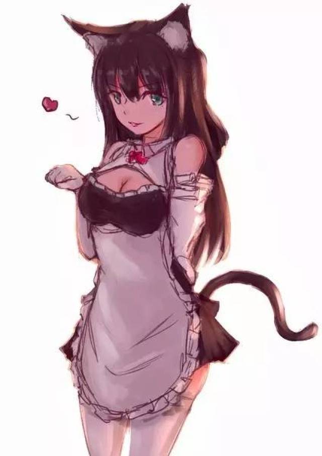 一天不吸猫就受不了?-动漫频道-手机搜狐