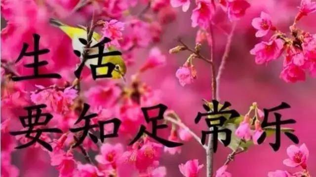 祝你安康图片,祝你健康图片,2020安康图片_大山谷图库