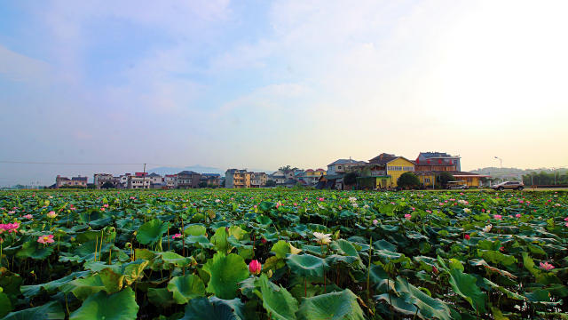 常山徐村:山美村靓水岸秀