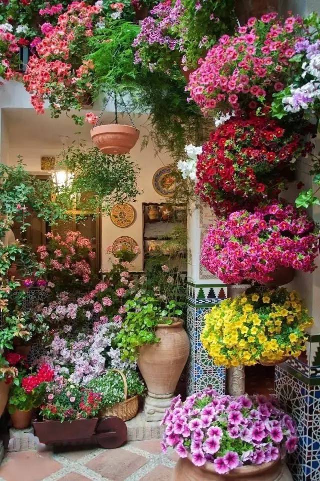 房子爬满花草,究竟会有多美?