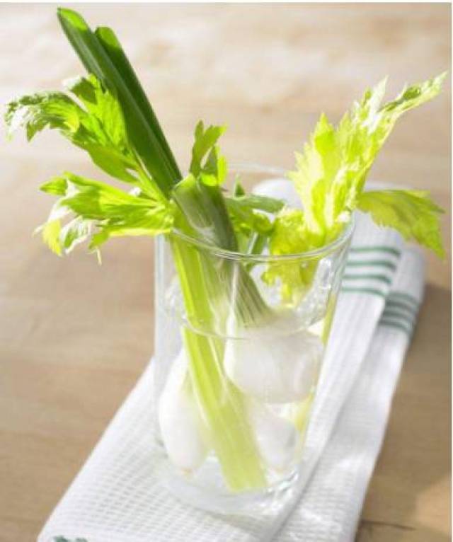 芹菜茼蒿用小绳捆起来,根朝下放在水盆里,就会长时间不干,不烂. 4.