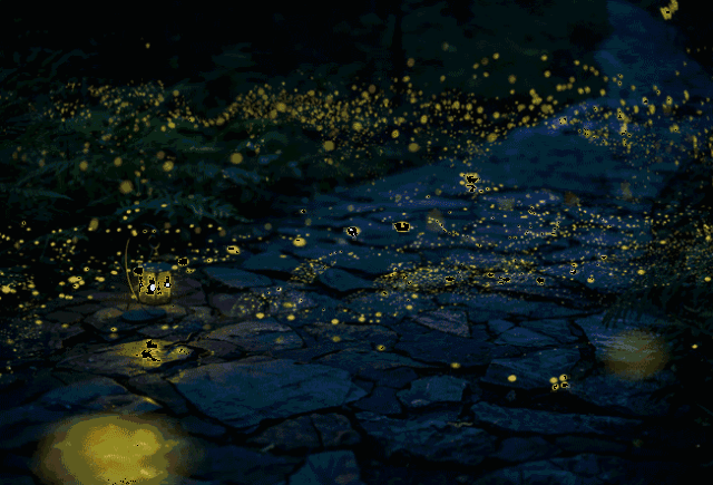 阿鲤推荐 | 想和你来一场星光下的相遇