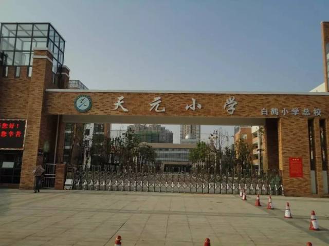 株洲白鹤小学校训图片