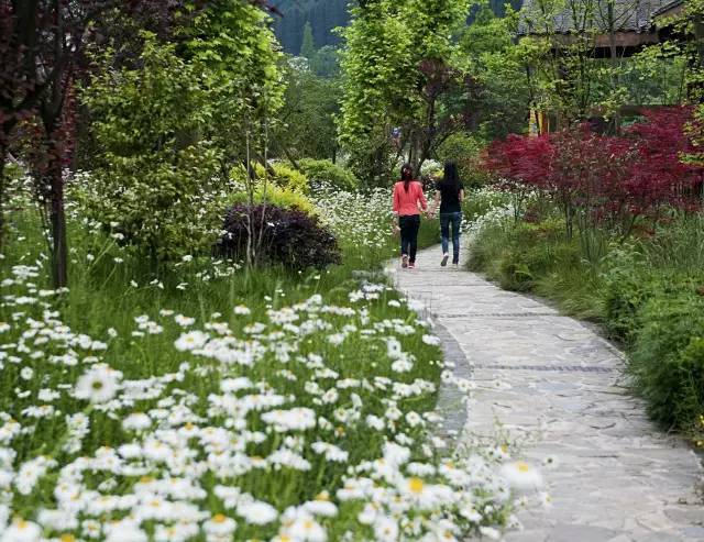 7 以森林康養,七里坪五寶,中草藥植物園等為載體的生態環境養生