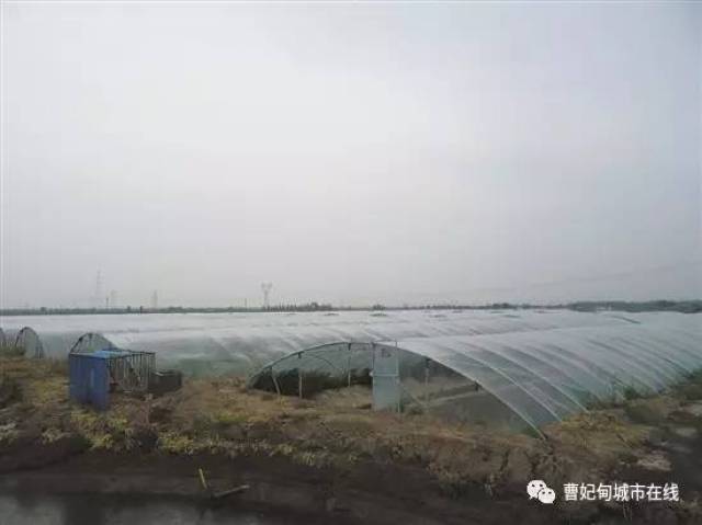 山东养虾基地在什么地方 请问湖北养虾的基地在什么地方