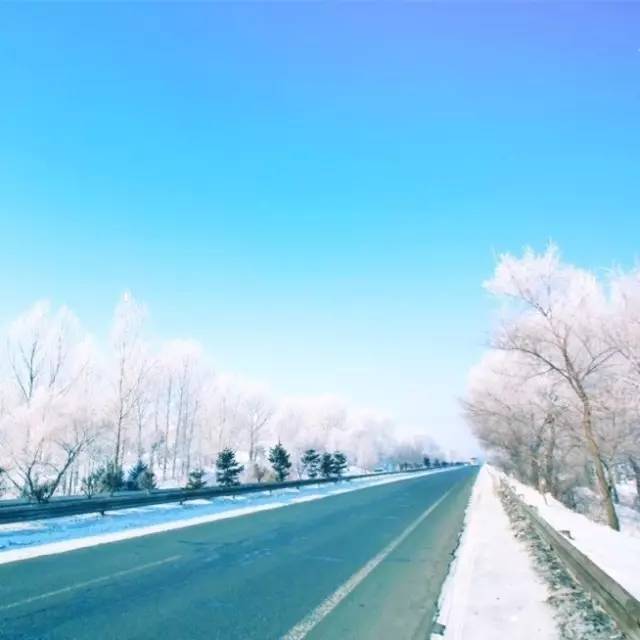 遠嫁他鄉,多年後你會明白,你失去的是什麼!