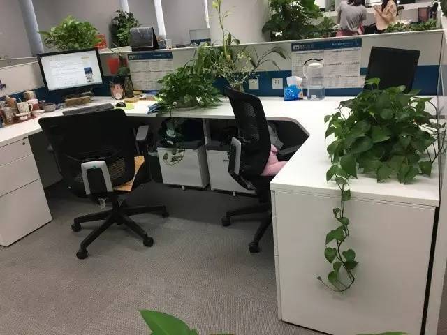 在知识产权出版社实习的工作环境