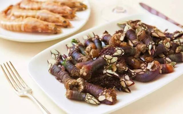 鹅颈藤壶,来自地狱般的美味珍馐