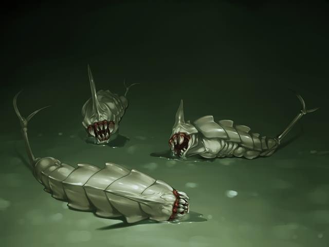 这位在fate动漫里戏份很少的长者曾经也是正义伙伴