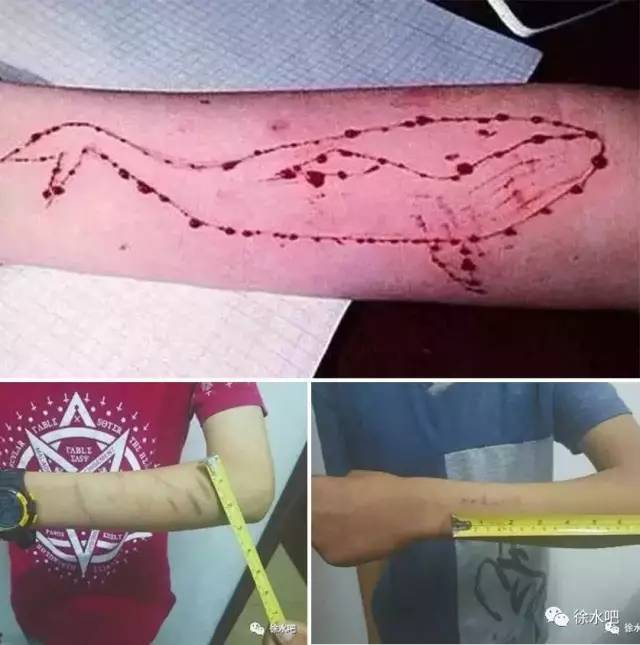 定兴家长们千万要阻止孩子玩"蓝鲸游戏",徐水已经有孩子为此自杀!