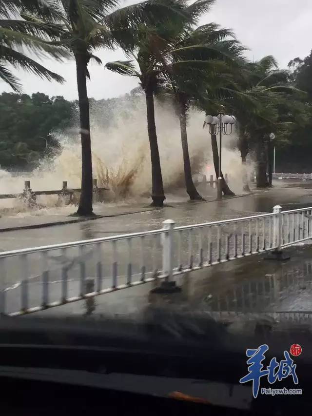 珠海台风天鸽图片