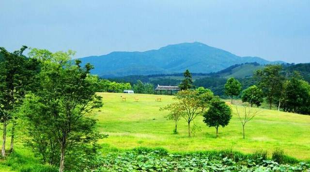 感受草原風情之旅 木蘭草原