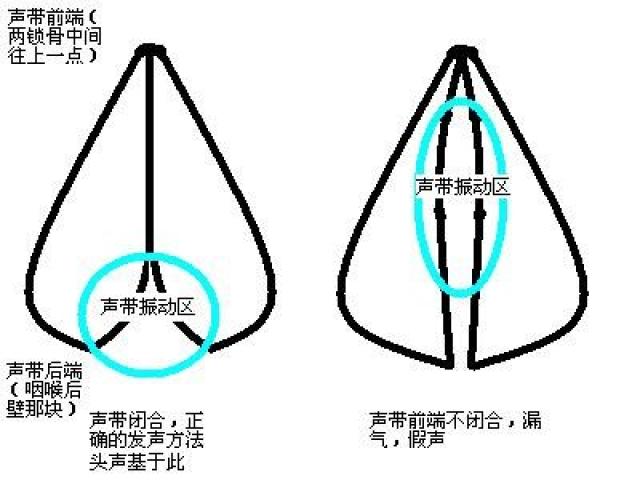 笛子发声原理示意图图片