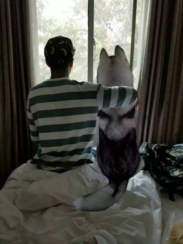 大神回复:单身狗配单身狗,从此不再孤独!