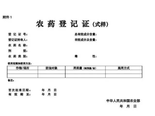 【聚焦】新版