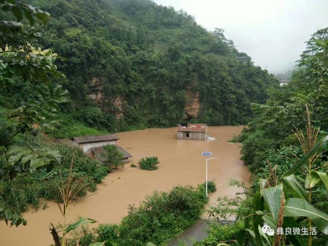 彝良县姚勇权色图片