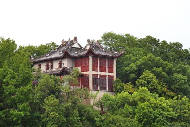 和闺蜜去溪口撒个野 | 城市旅行家