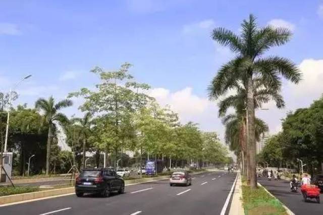 南宁大学路终于修好通车, 堪比民族大道!