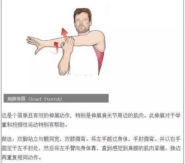运动后多长时间肌肉恢复