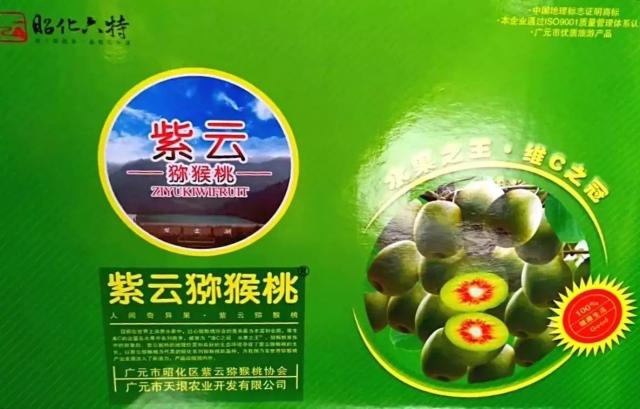 紫云手机维修