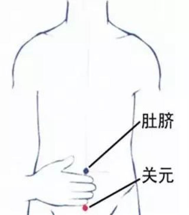 关元腧,白环腧,三焦腧_大山谷图库
