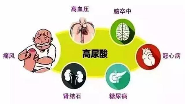 四高图片,图片,花的图片_大山谷图库