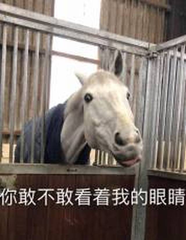 狡黠的眼神是什么意思,看起来狡猾的眼,狡黠的意思_大山谷图库