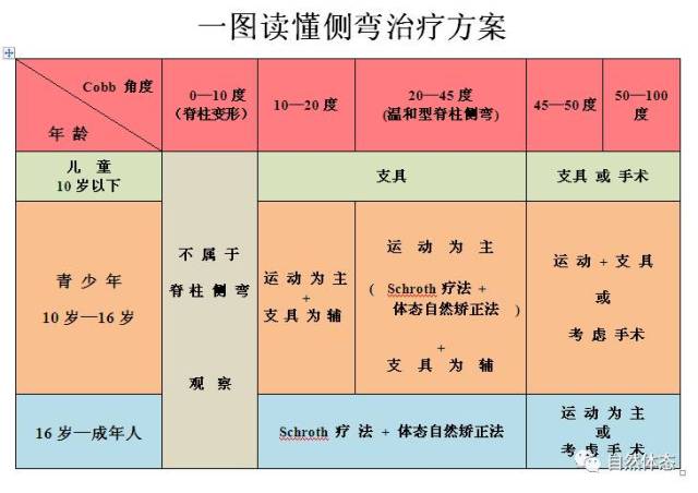 关于"脊柱侧弯"的治疗方案-宠物频道-手机搜狐