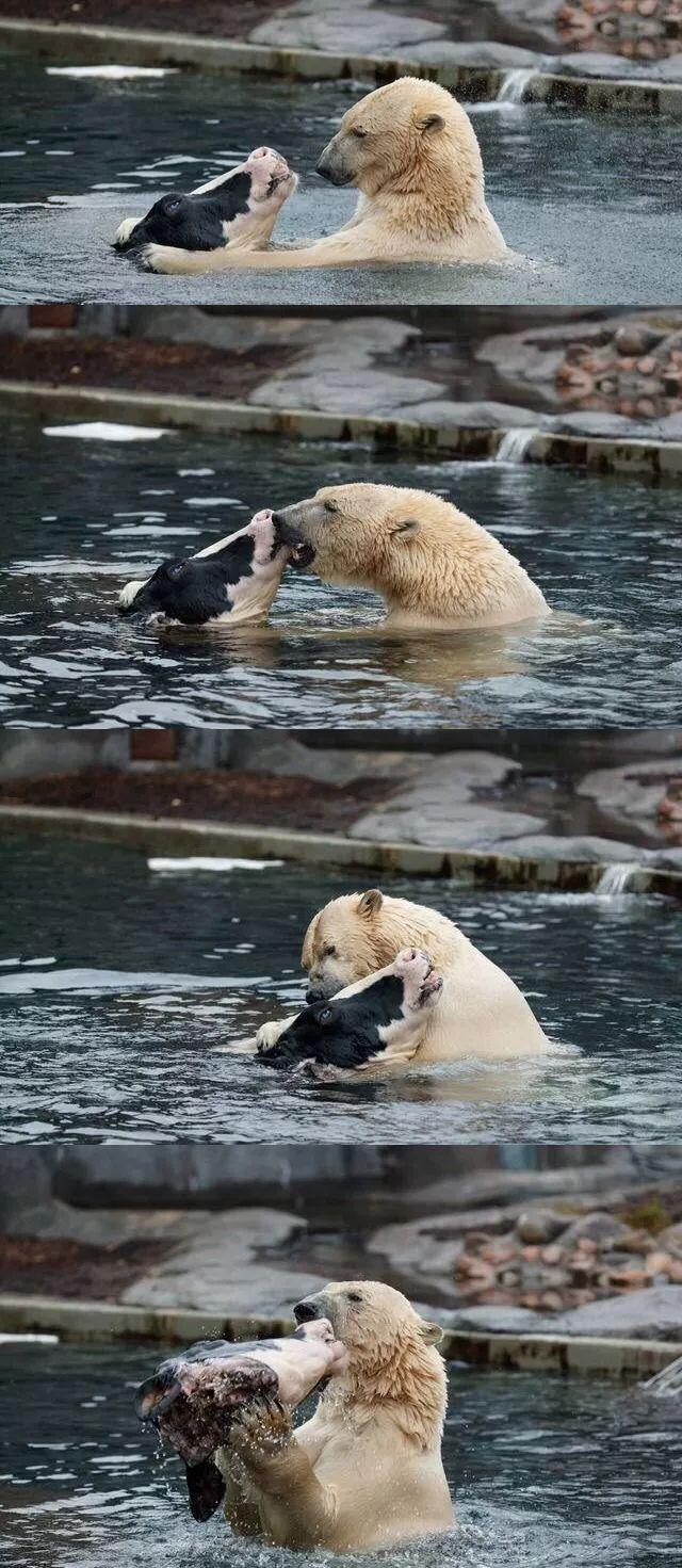 搞笑频道-手机搜狐