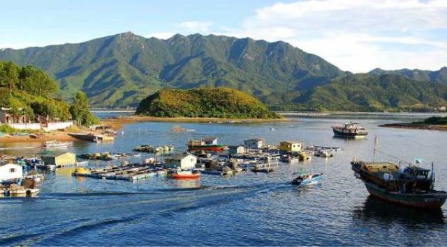 打渔吃海鲜,深圳周边绝美渔村清单来了!-旅游频道-手机搜狐