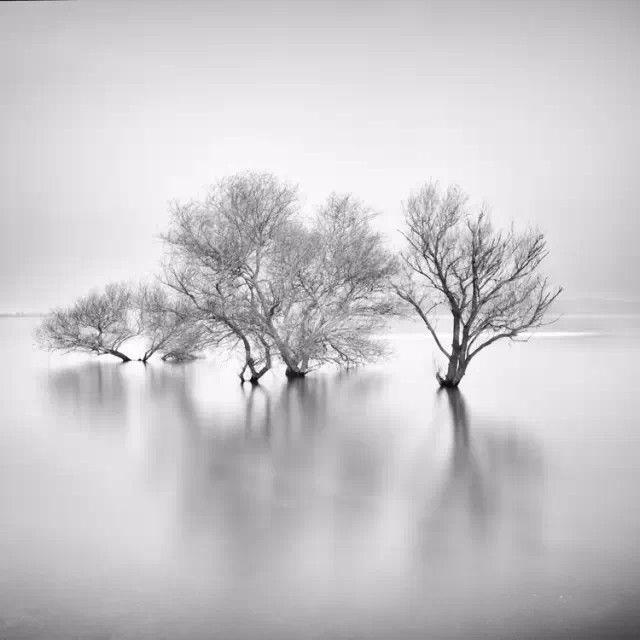 影调的创作,是摄影新手与高手的一道分界线