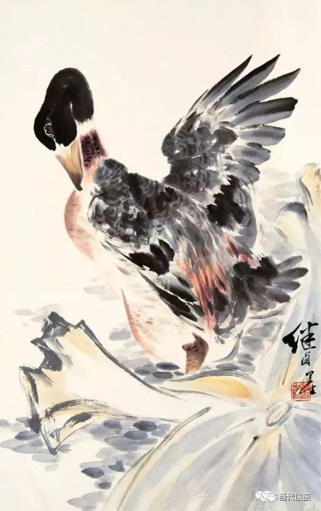 大师刘继卣的花鸟草虫!