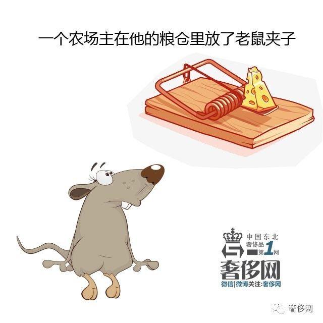 耗子夹子图片,耗子夹子,耗子图片_大山谷图库